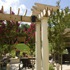 Pergola Extention